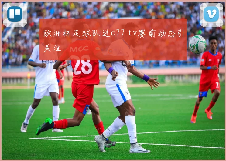 欧洲杯足球队进c77 tv赛前动态引关注