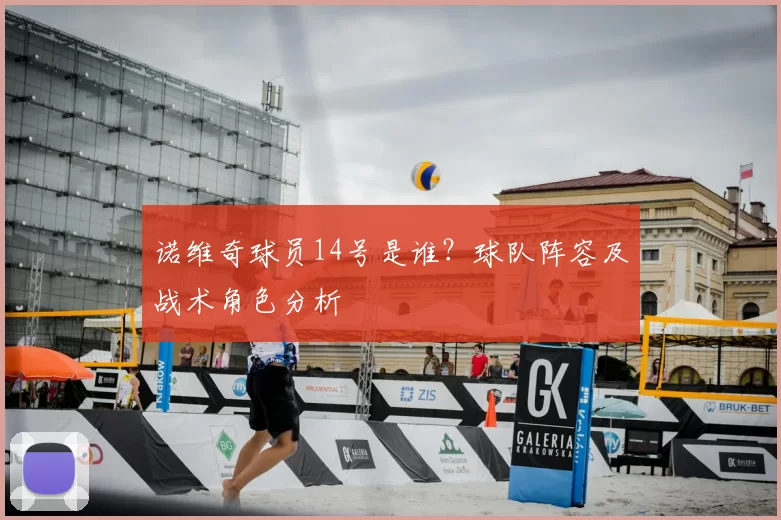 诺维奇球员14号是谁?球队阵容及战术角色分析