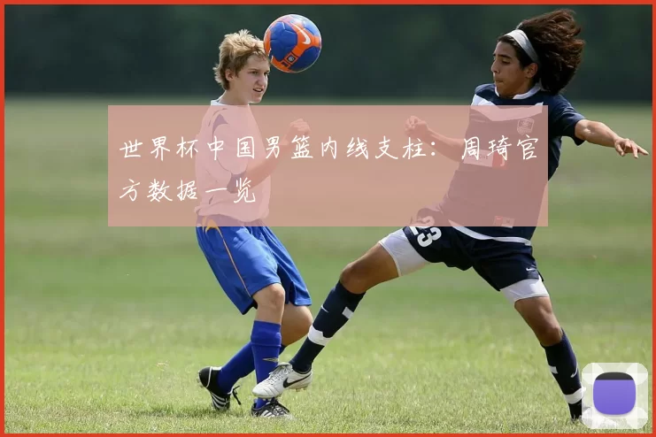 世界杯中国男篮内线支柱：周琦官方数据一览