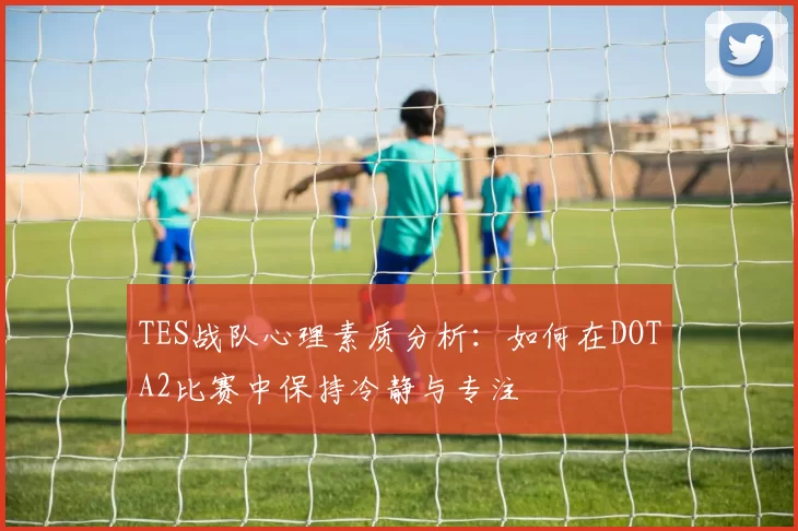 TES战队心理素质分析：如何在DOTA2比赛中保持冷静与专注