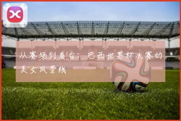 从赛场到看台：巴西世界杯决赛的美女风景线