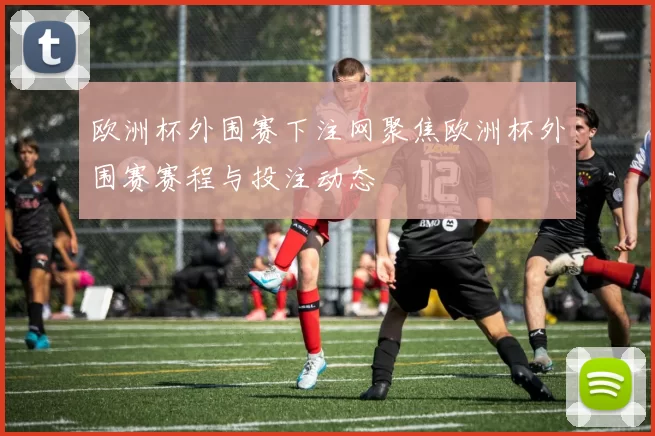 欧洲杯外围赛下注网聚焦欧洲杯外围赛赛程与投注动态
