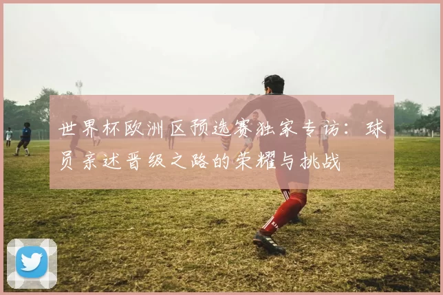 世界杯欧洲区预选赛独家专访：球员亲述晋级之路的荣耀与挑战
