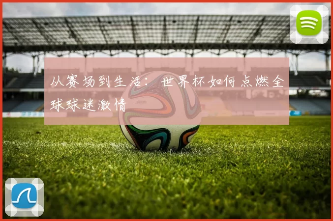 从赛场到生活：世界杯如何点燃全球球迷激情