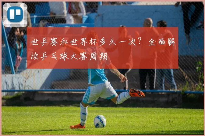 世乒赛和世界杯多久一次?全面解读乒乓球大赛周期