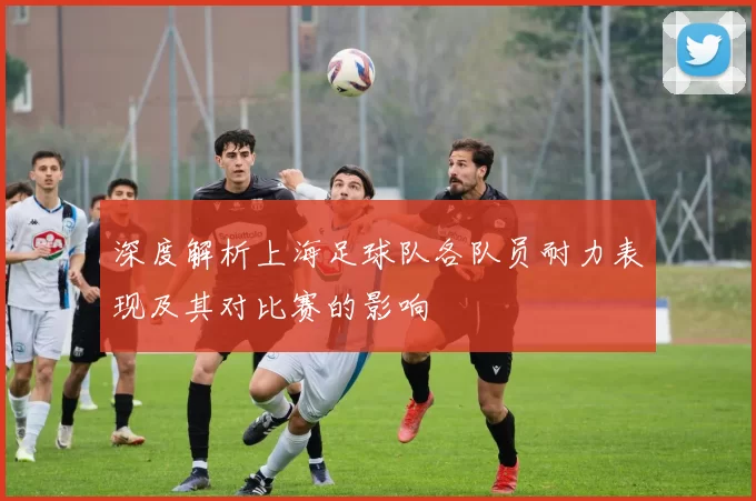 深度解析上海足球队各队员耐力表现及其对比赛的影响