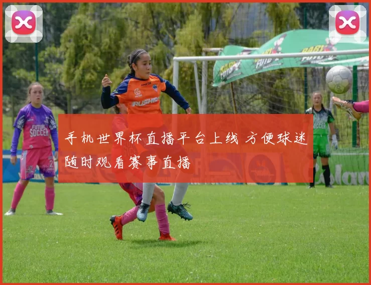 手机世界杯直播平台上线 方便球迷随时观看赛事直播