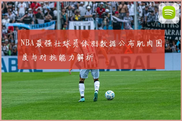 NBA最强壮球员体测数据公布肌肉围度与对抗能力解析