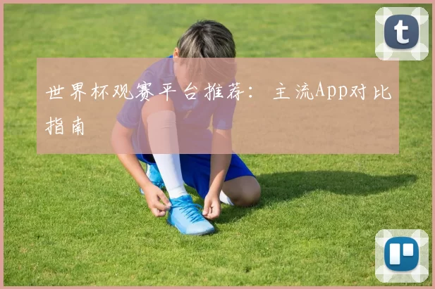 世界杯观赛平台推荐:主流App对比指南