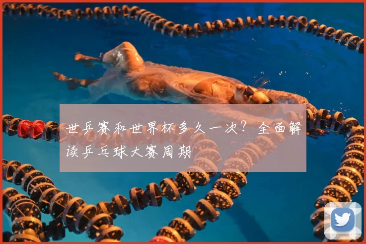 世乒赛和世界杯多久一次?全面解读乒乓球大赛周期
