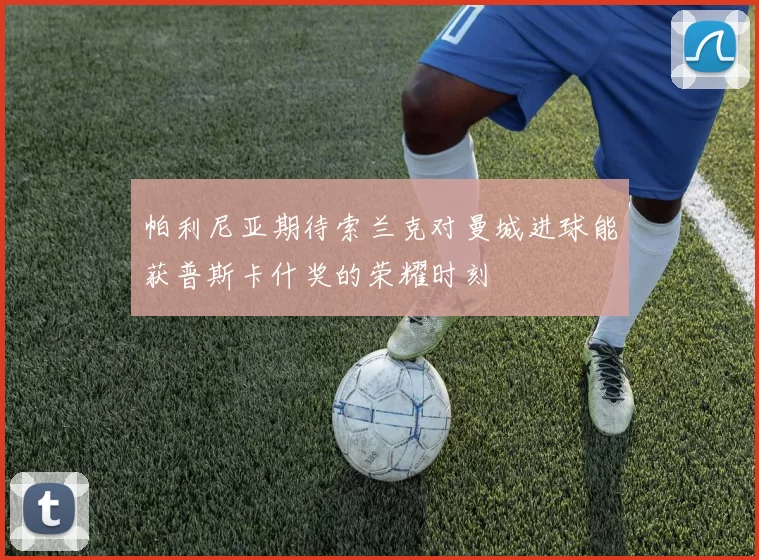 帕利尼亚期待索兰克对曼城进球能获普斯卡什奖的荣耀时刻