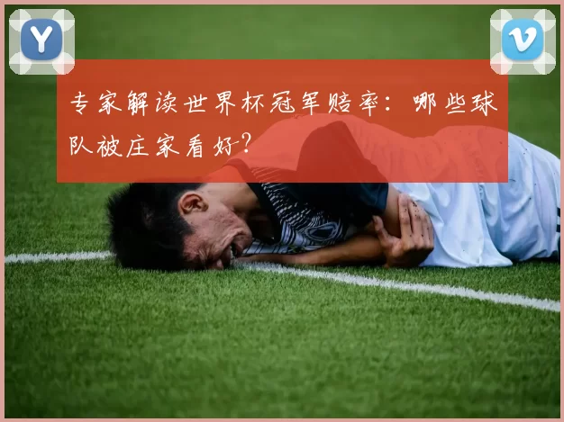 专家解读世界杯冠军赔率:哪些球队被庄家看好?