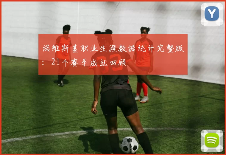 诺维斯基职业生涯数据统计完整版:21个赛季成就回顾