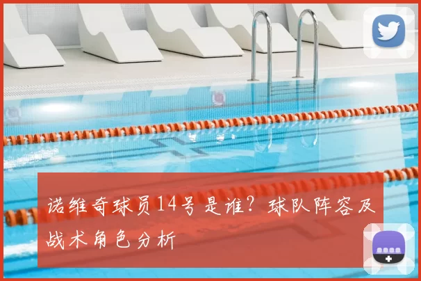 诺维奇球员14号是谁?球队阵容及战术角色分析