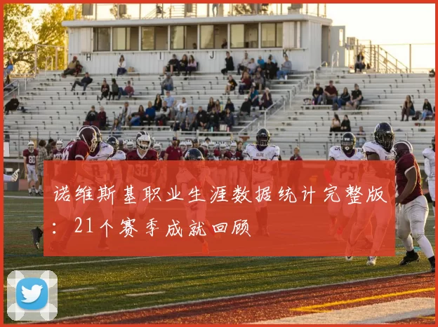 诺维斯基职业生涯数据统计完整版:21个赛季成就回顾