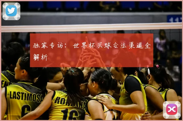 独家专访:世界杯买球合法渠道全解析
