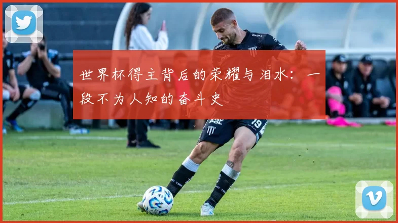 世界杯得主背后的荣耀与泪水:一段不为人知的奋斗史